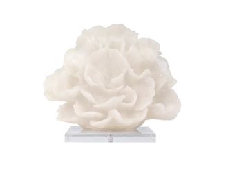 COZUMEL CORAL SCULPT 28*25(CM)
